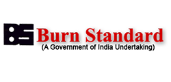 Burn Standard